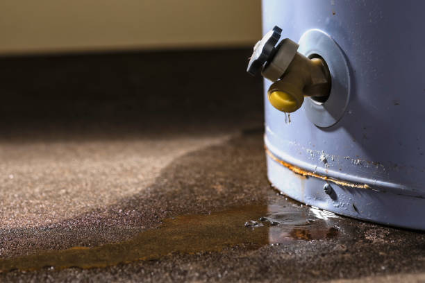 Best Professional water damage repair  in Eustis, FL