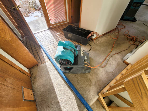 Best Water damage restoration near me  in Eustis, FL