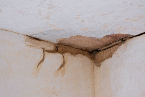 Best 24-hour water damage restoration  in Eustis, FL