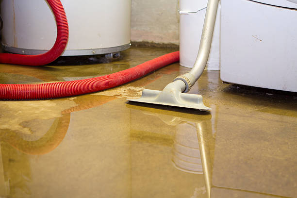 Best 24/7 water damage repair  in Eustis, FL