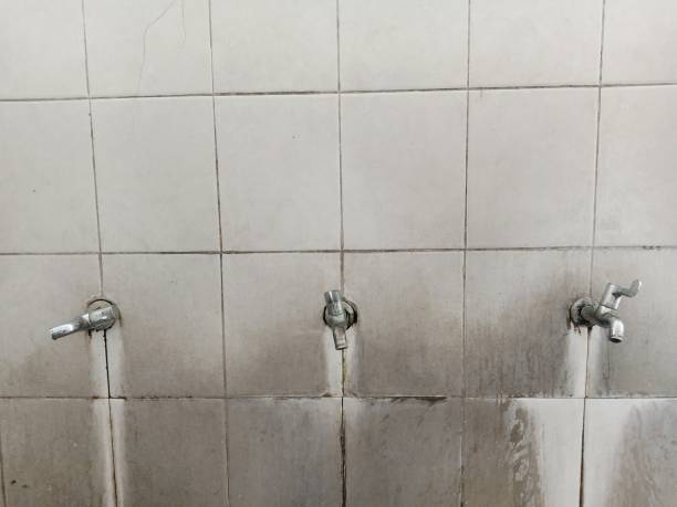 Best Water damage repair service  in Eustis, FL