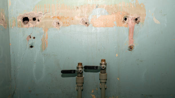 Best Water damage contractors near me  in Eustis, FL
