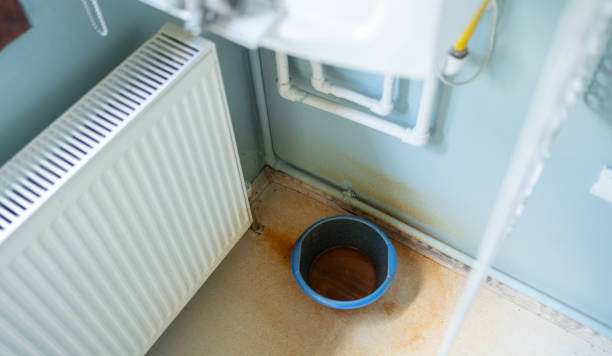 Best Local water damage restoration  in Eustis, FL