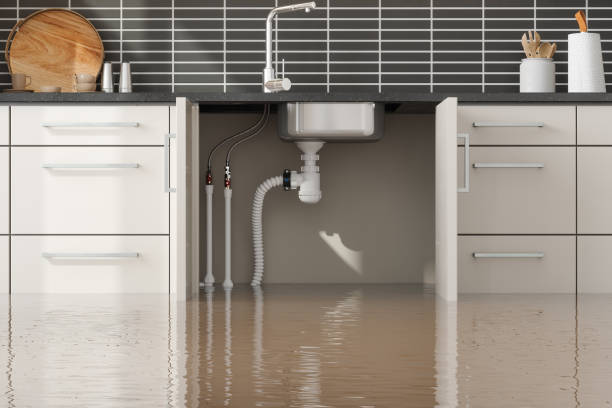  Eustis, FL Water damage restoration Pros