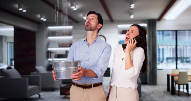 Best Flood damage cleanup  in Eustis, FL