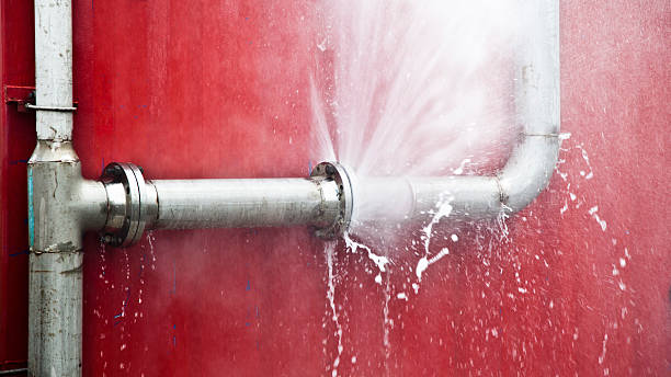 Best Flood damage cleanup  in Eustis, FL