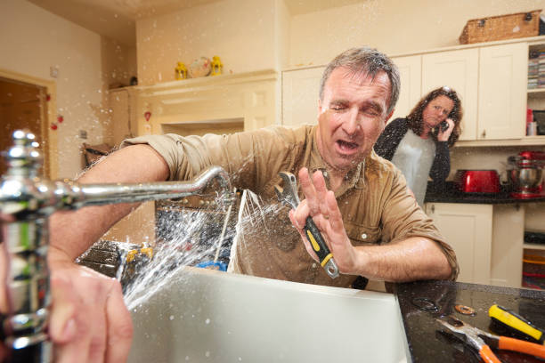 Best Flooded house restoration  in Eustis, FL